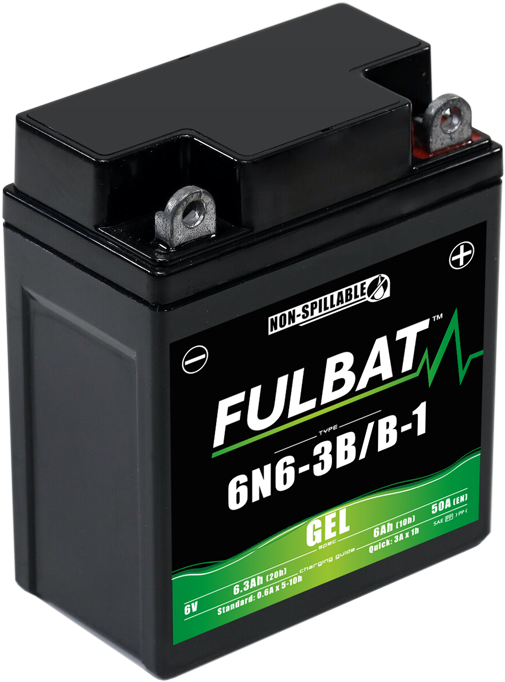 Fulbat_GEL_6N6-3B-B-1(1).png